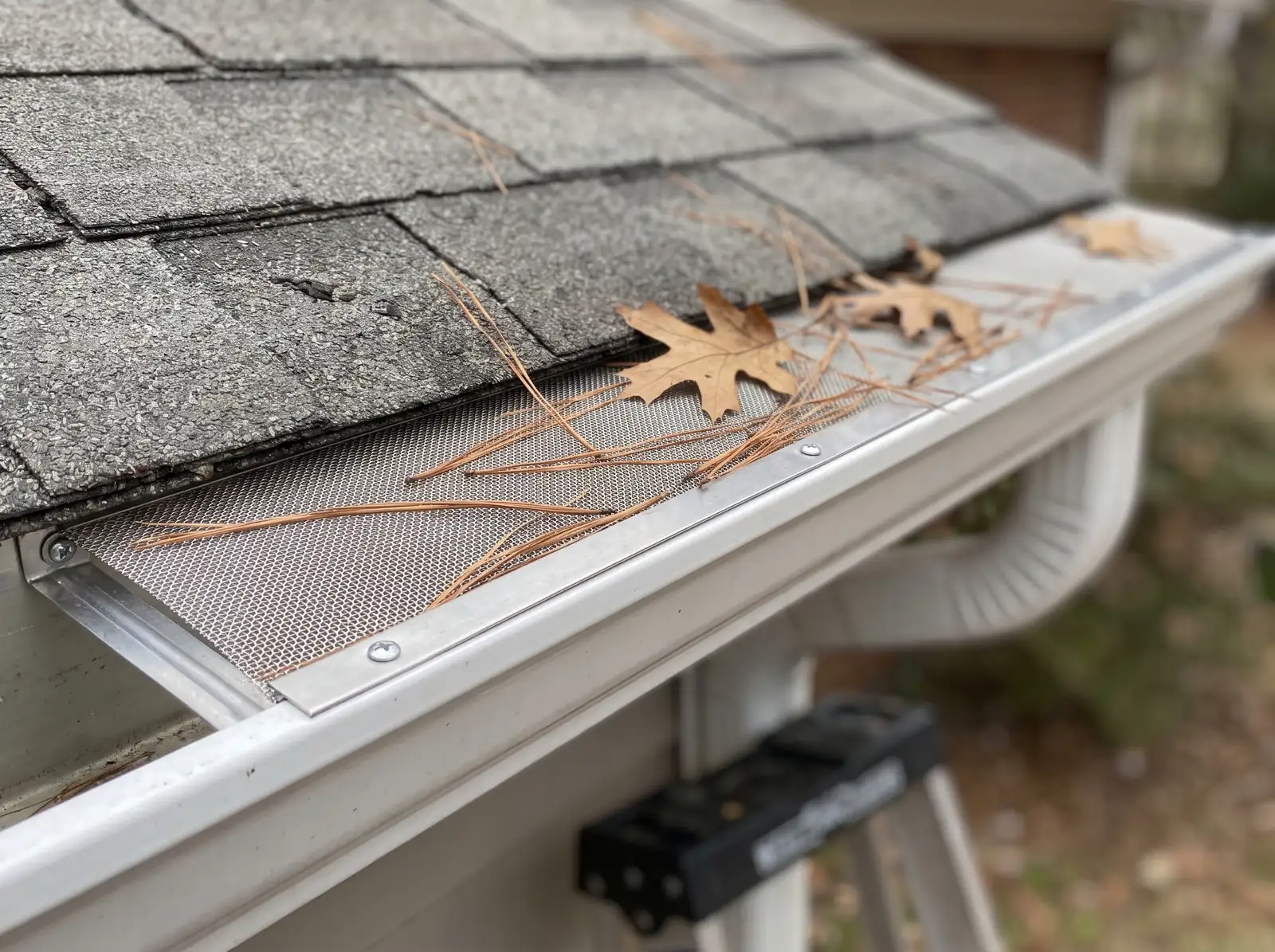 Micro-mesh gutter guard under the shingle edge with an oak leaf and pine needles on top